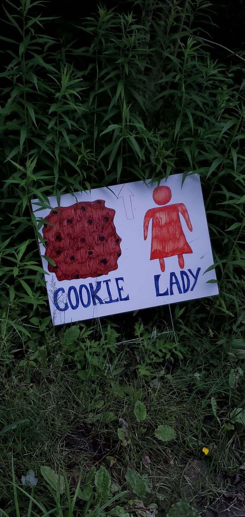 The Cookie Lady Legend The Cookie Lady Legend