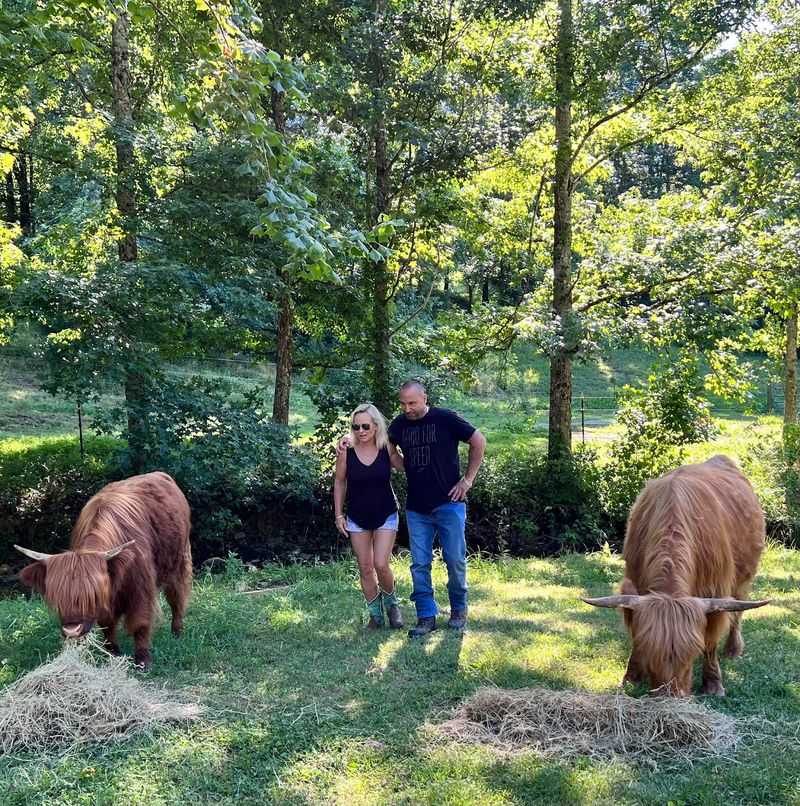 The Couple Behind the Pasture The Couple Behind the Pasture