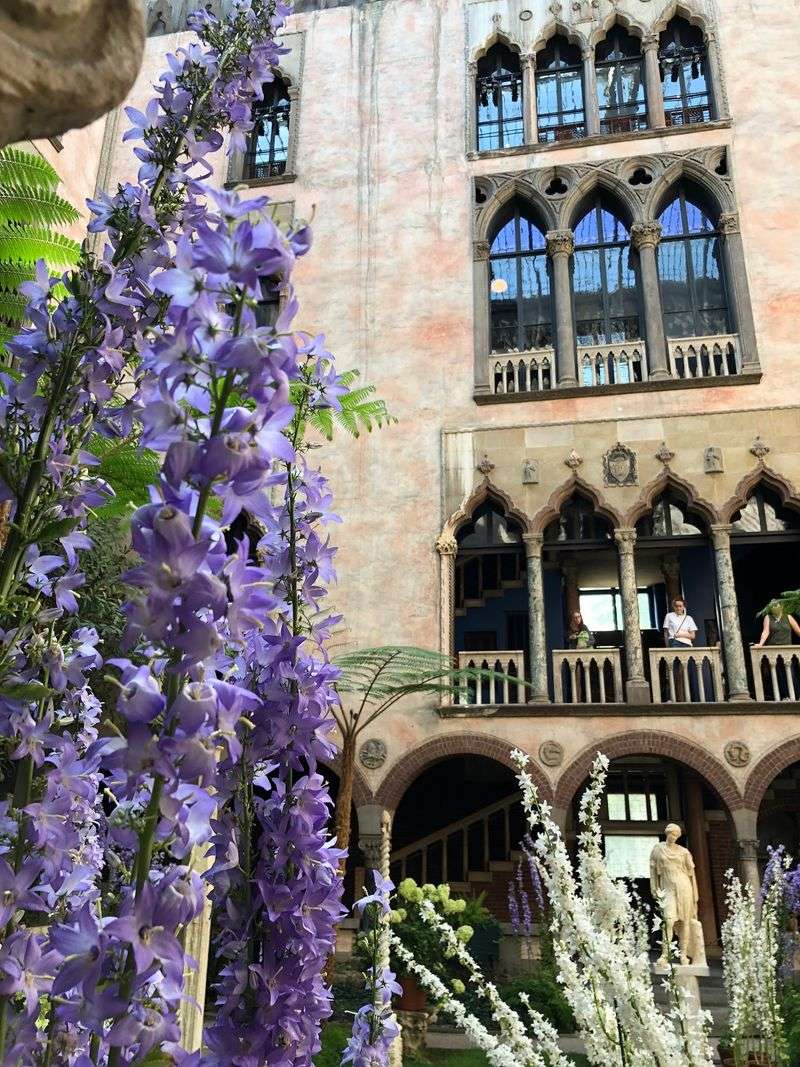 The Courtyard Everyone Falls For The Courtyard Everyone Falls For