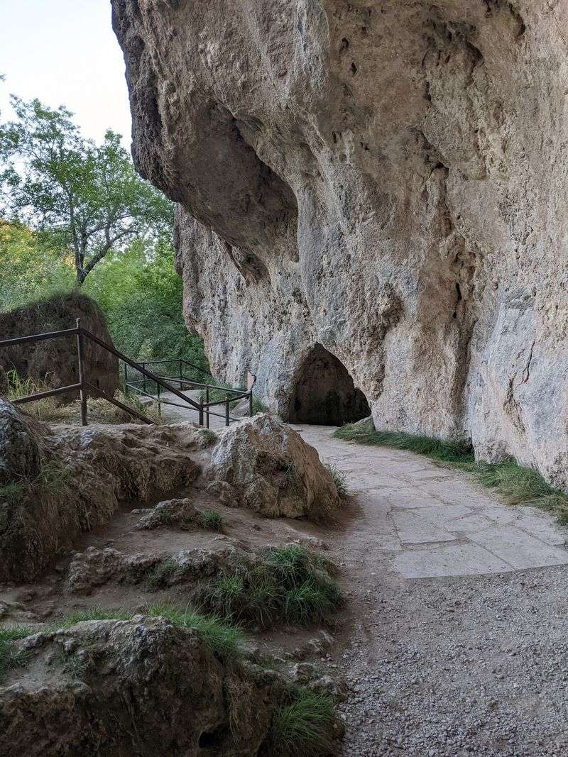 The Coyote Trail and What You Will Discover Along It The Coyote Trail and What You Will Discover Along It