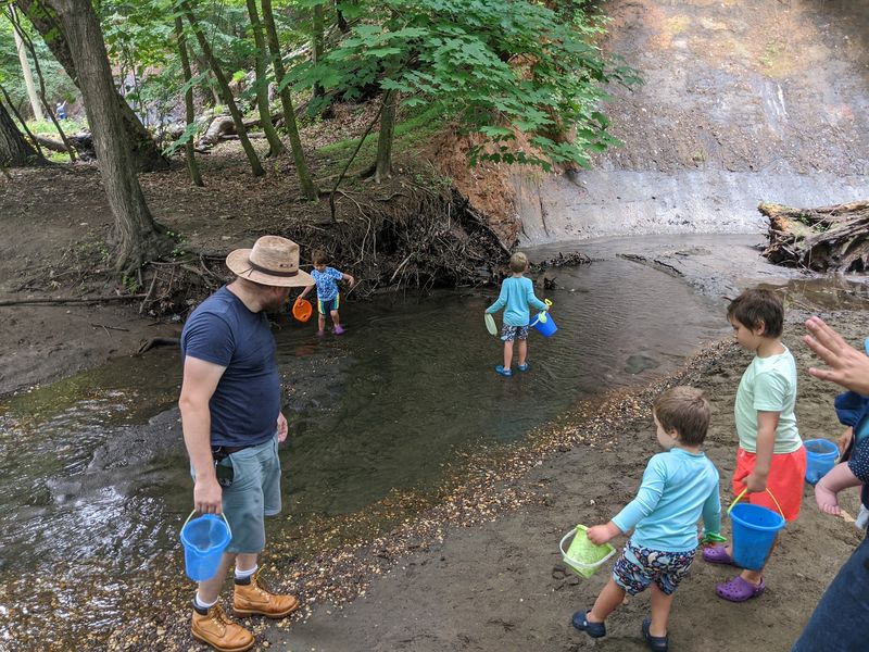 The Creek Bed As The Main Classroom The Creek Bed As The Main Classroom