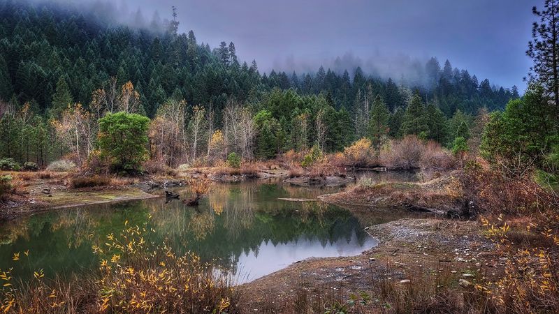 The Creek Restoration and Natural Surroundings The Creek Restoration and Natural Surroundings