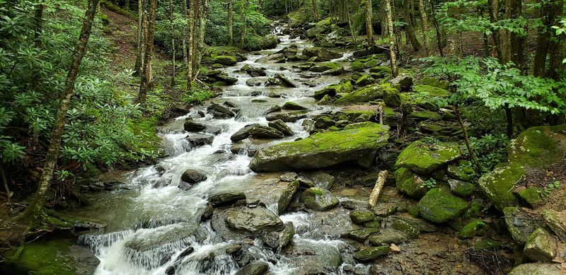 The Creekside Falls Trail and Its Hidden Waterfall The Creekside Falls Trail and Its Hidden Waterfall