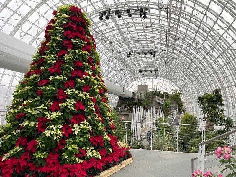 The Crystal Bridge Tropical Conservatory