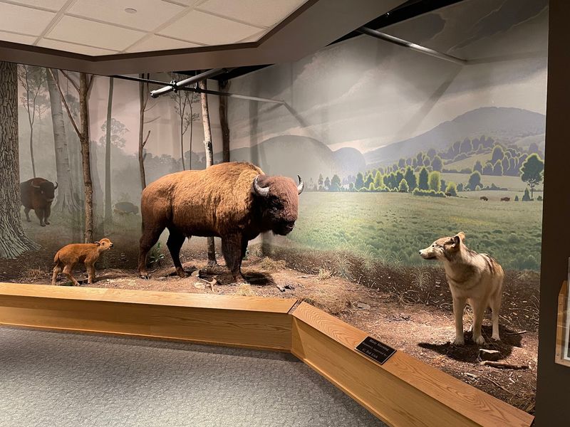 The Diorama Artists Who Painted the Museum's Most Memorable Scenes The Diorama Artists Who Painted the Museum's Most Memorable Scenes