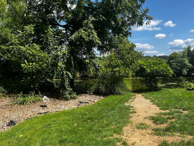 The Dog Park That Keeps Four-Legged Regulars Coming Back