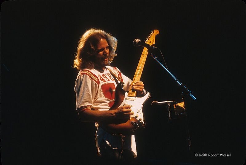 The Eagles - Don Felder The Eagles - Don Felder