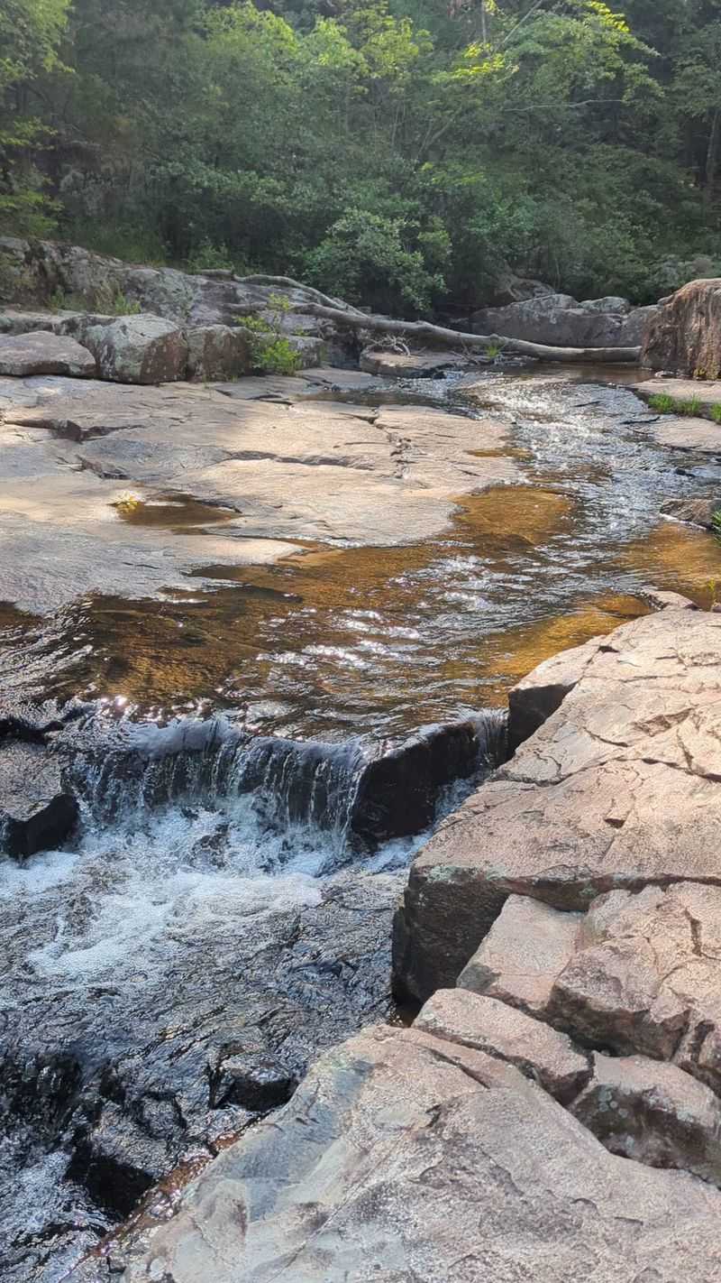 The Earth's Sculptural Art: Shut-Ins and Stone The Earth's Sculptural Art: Shut-Ins and Stone