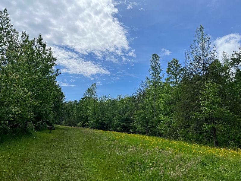 The Easygoing Meadow Trail The Easygoing Meadow Trail