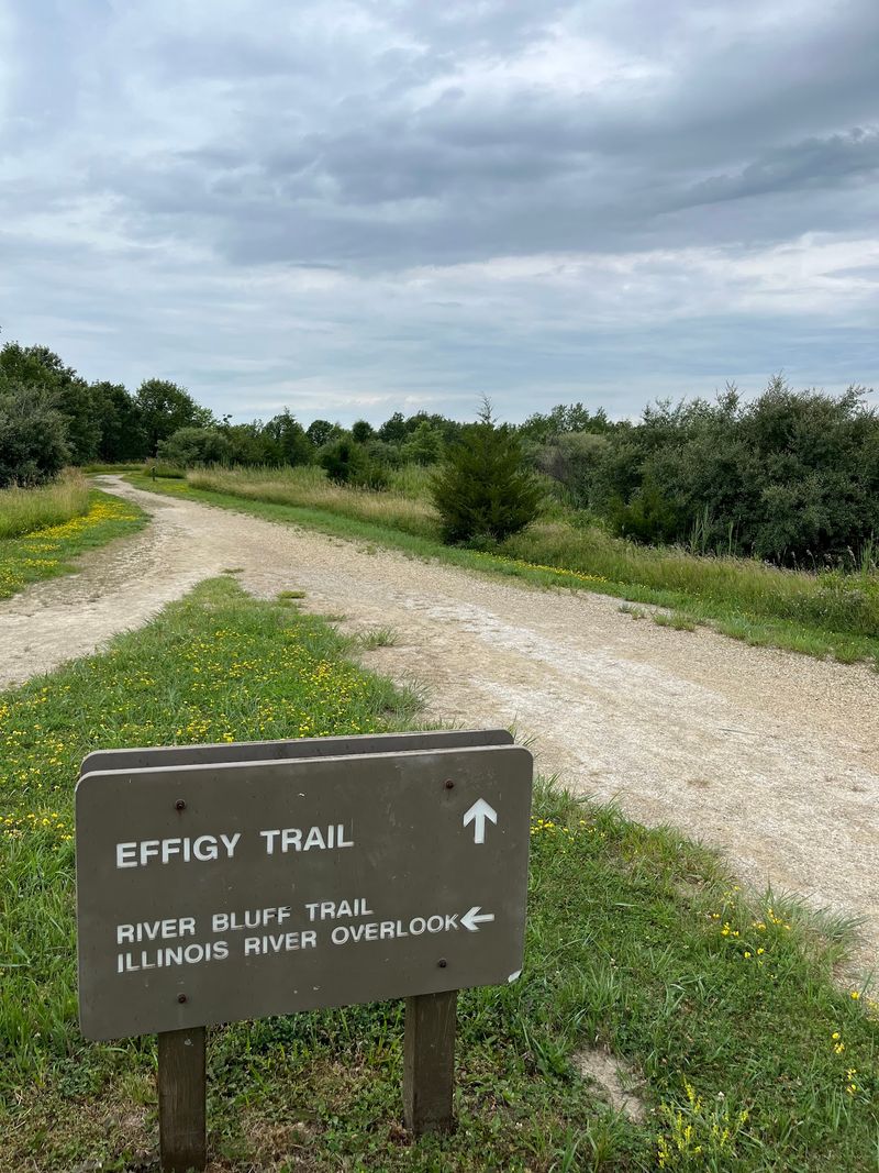 The Effigy Earthworks and What They Actually Are The Effigy Earthworks and What They Actually Are