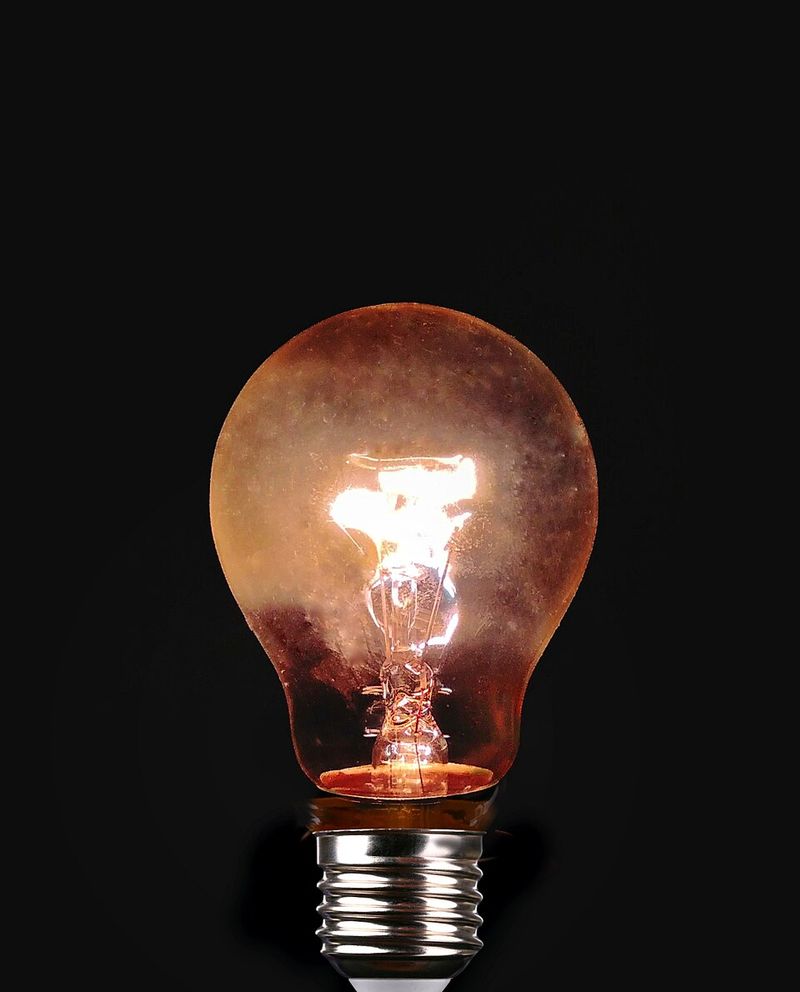The Electric Light Bulb The Electric Light Bulb