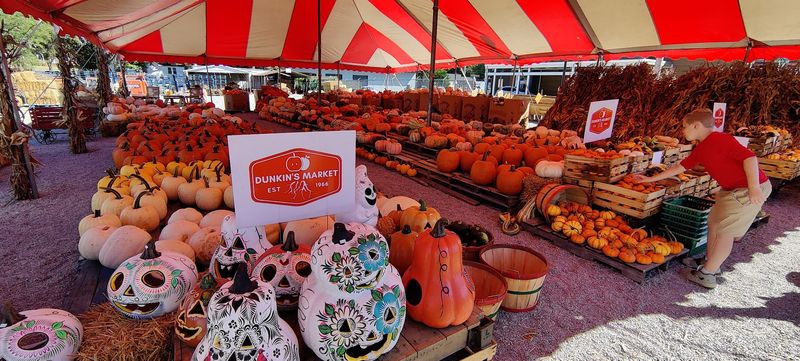 The Fall Pumpkin Wonderland