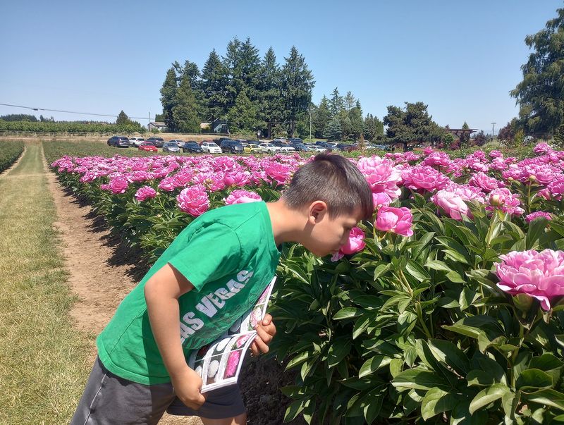 The Family Story Behind the Blooms The Family Story Behind the Blooms