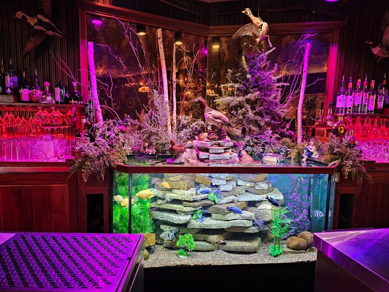The Famous Fish Tank Behind the Bar