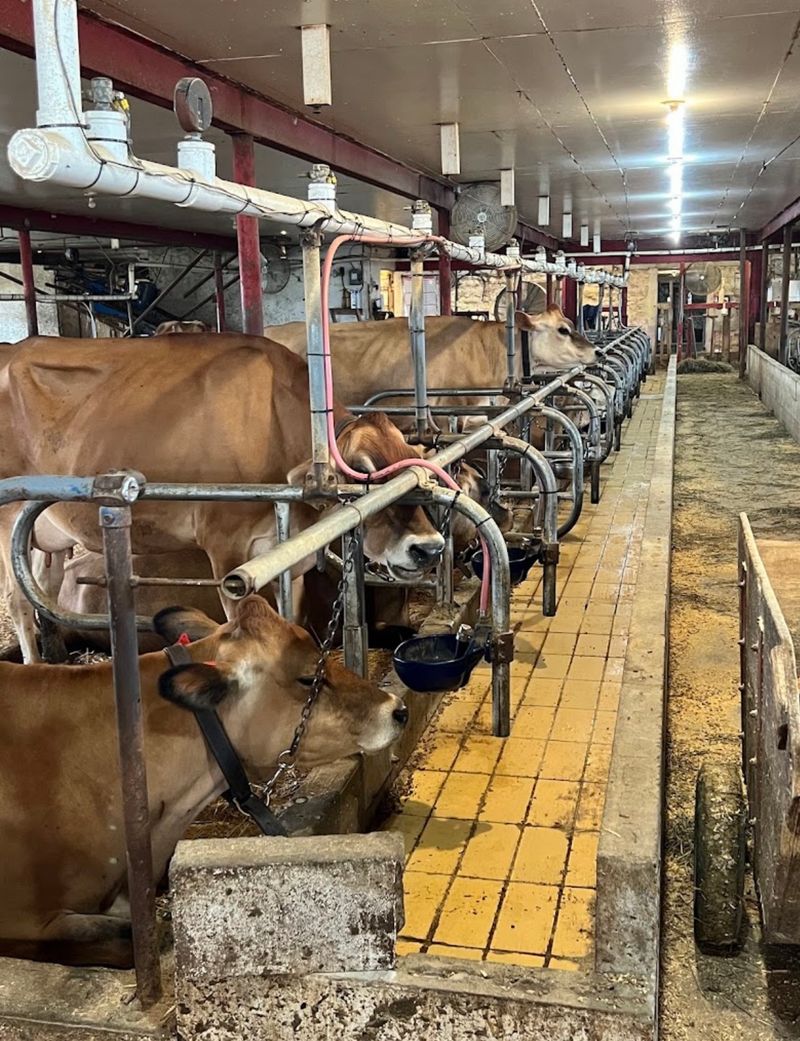 The Farm Behind the Famous Scoops