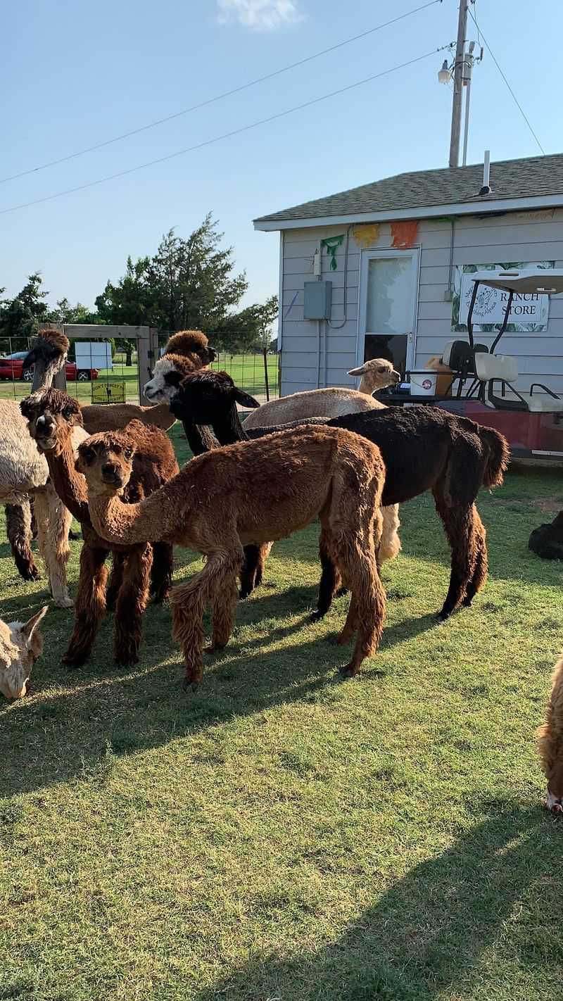 The Farm and Where to Find It