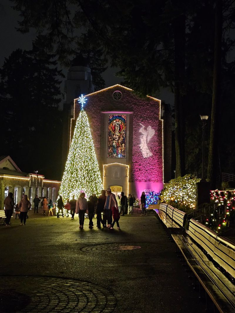 The Festival Of Lights That Steals December The Festival Of Lights That Steals December