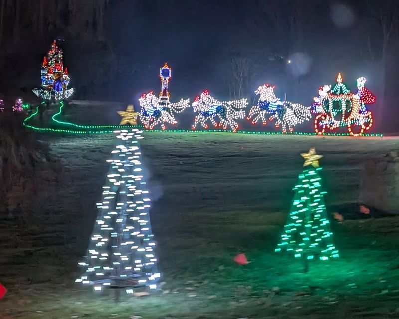 The Festival of Lights: When the Gardens Glow After Dark The Festival of Lights: When the Gardens Glow After Dark