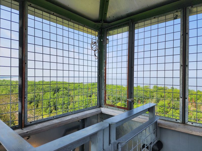 The Fire Tower and the View Over Upper Red Lake