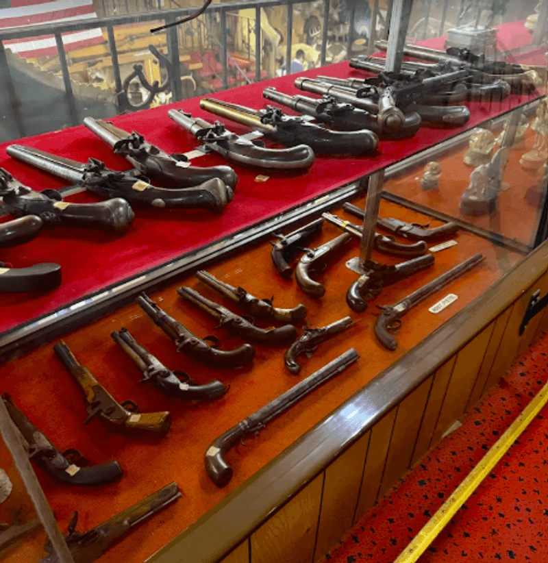 The Firearms Collection Behind The Zoo Surprise The Firearms Collection Behind The Zoo Surprise