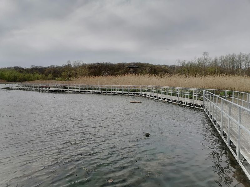 The Floating Boardwalk That Puts You on the Water The Floating Boardwalk That Puts You on the Water