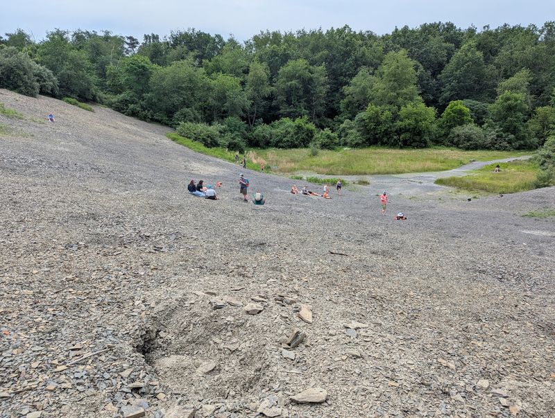 The Fossil Pit That Takes You Back 395 Million Years The Fossil Pit That Takes You Back 395 Million Years