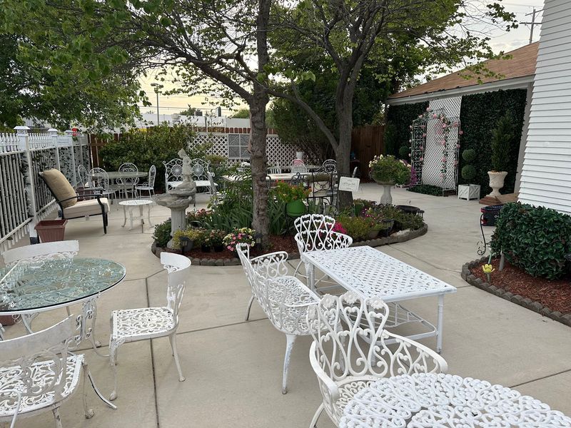 The French Courtyard: Tea Under Open Sky The French Courtyard: Tea Under Open Sky