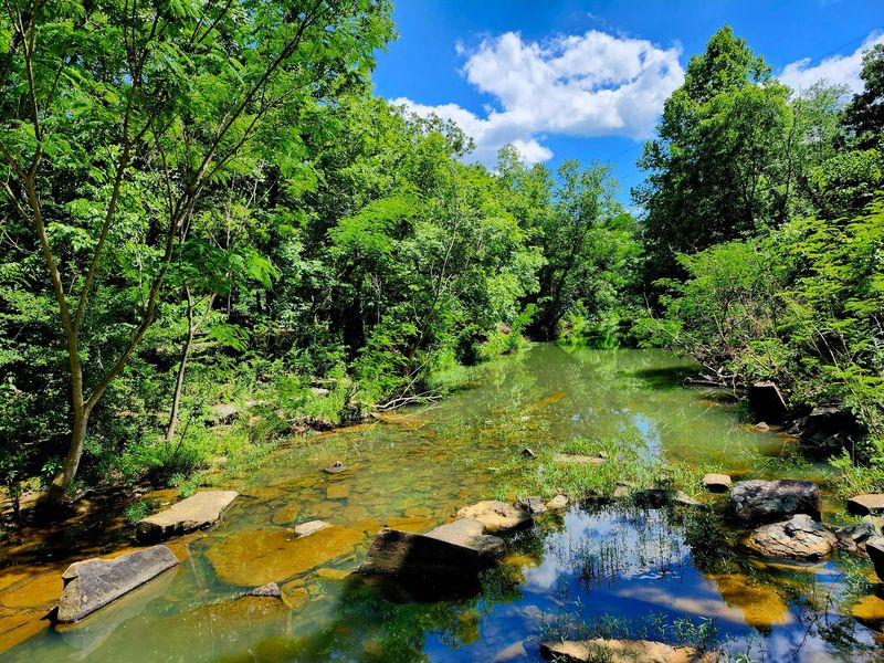 The Freshwater Swimming Hole The Freshwater Swimming Hole