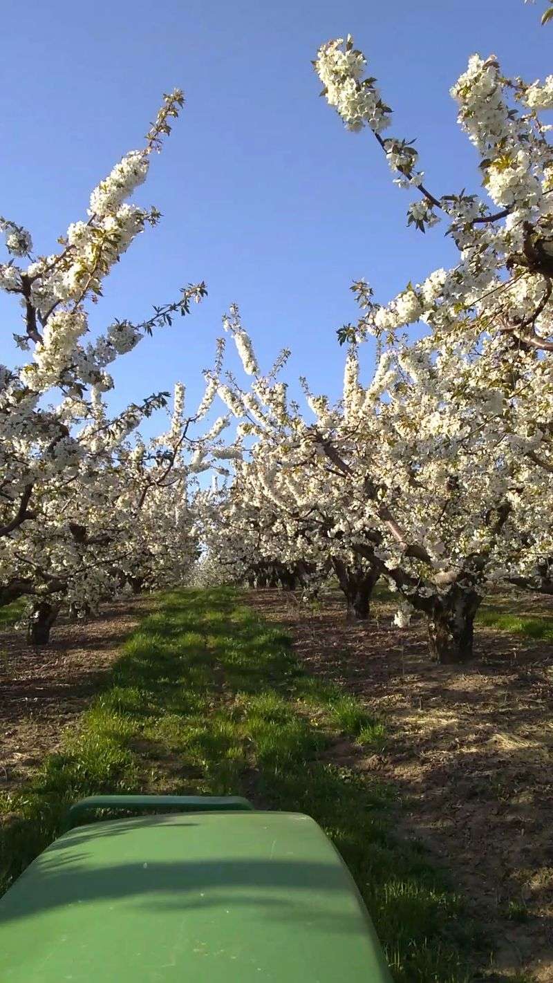 The Fruit Loop: Oregon's Most Delicious Road Trip The Fruit Loop: Oregon's Most Delicious Road Trip