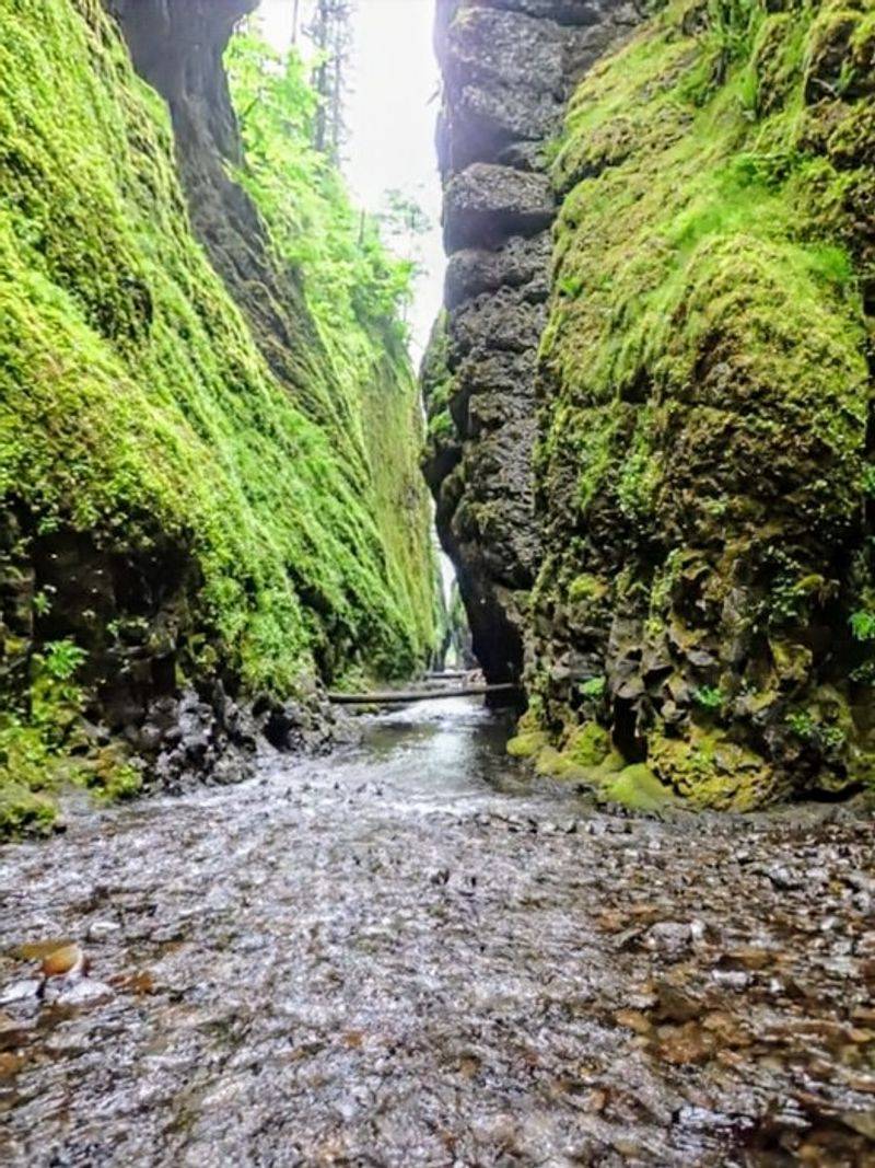 The Geology Behind the Canyon Walls