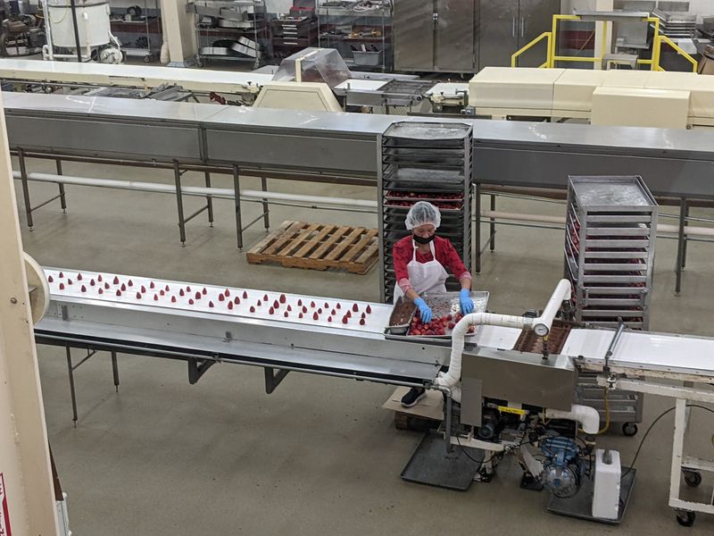 The Glass-Enclosed Walkway Above the Factory Floor The Glass-Enclosed Walkway Above the Factory Floor