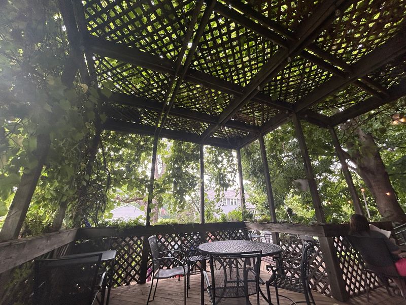The Grapevine Trellis Patio