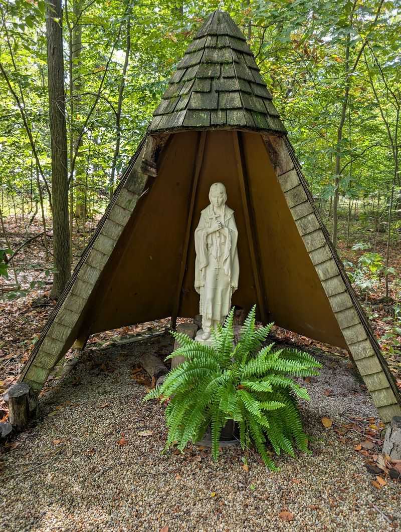 The Grottos Scattered Throughout the Forest