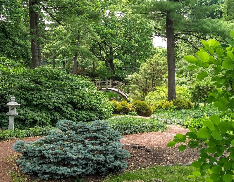 The Grounds: Trails, Nature, and Quiet Discoveries