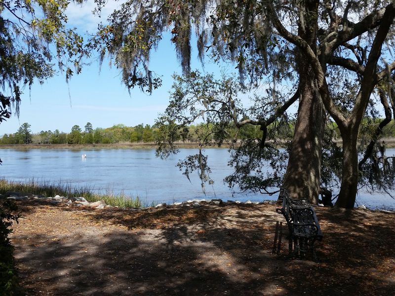 The Grounds, the Live Oaks, and the Ashley River View