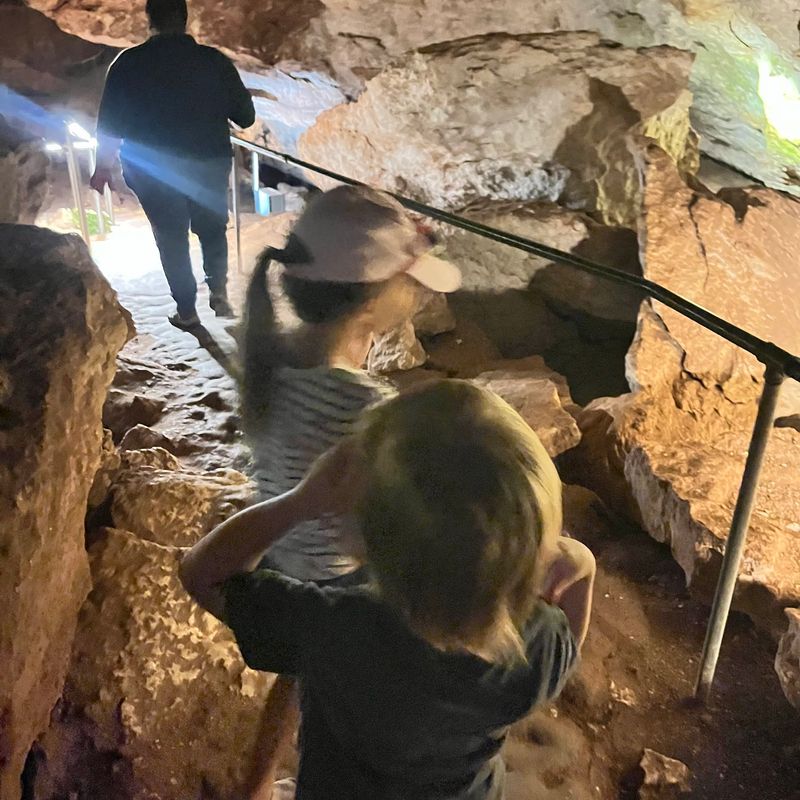 The Guided Tour Experience