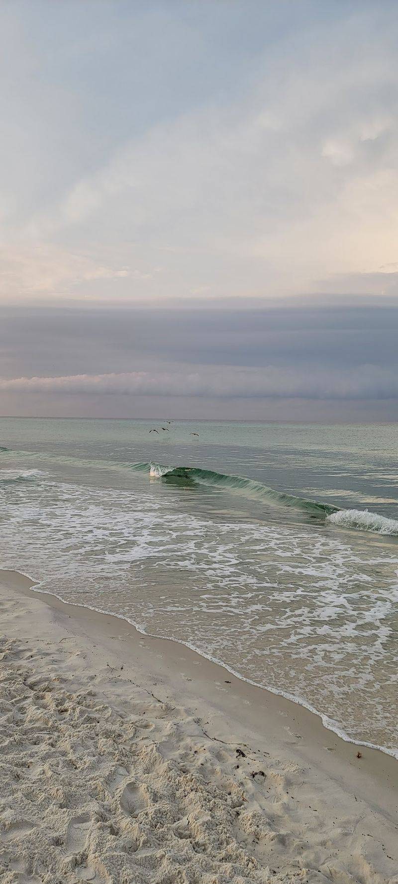 The Gulf Water Here Hits Different The Gulf Water Here Hits Different
