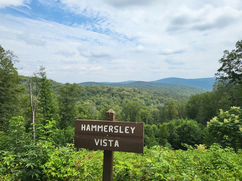The Hammersley Wild Area and the Deepest Roadless Silence in Pennsylvania The Hammersley Wild Area and the Deepest Roadless Silence in Pennsylvania