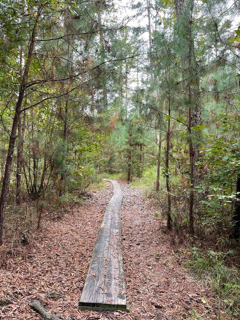 The High Ridge Trail for a Little More Sweat