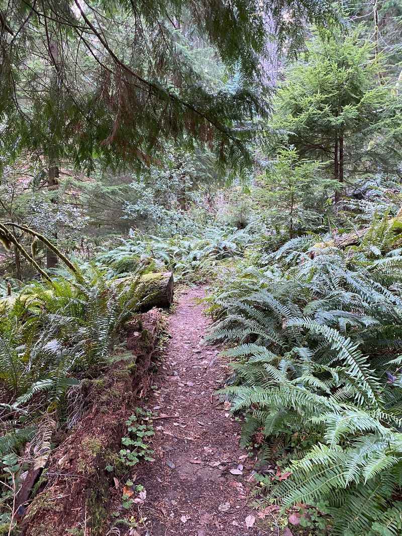 The Hike Down: What to Actually Expect