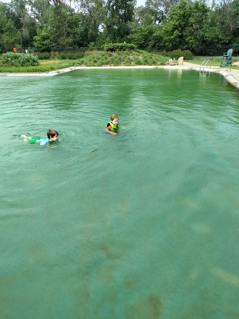 The History Behind Webber Pool and How It Came to Be The History Behind Webber Pool and How It Came to Be