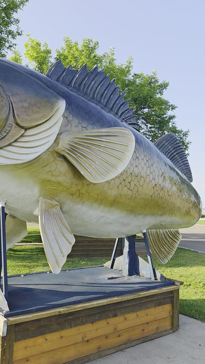 The History Behind the Fishing Culture Here The History Behind the Fishing Culture Here