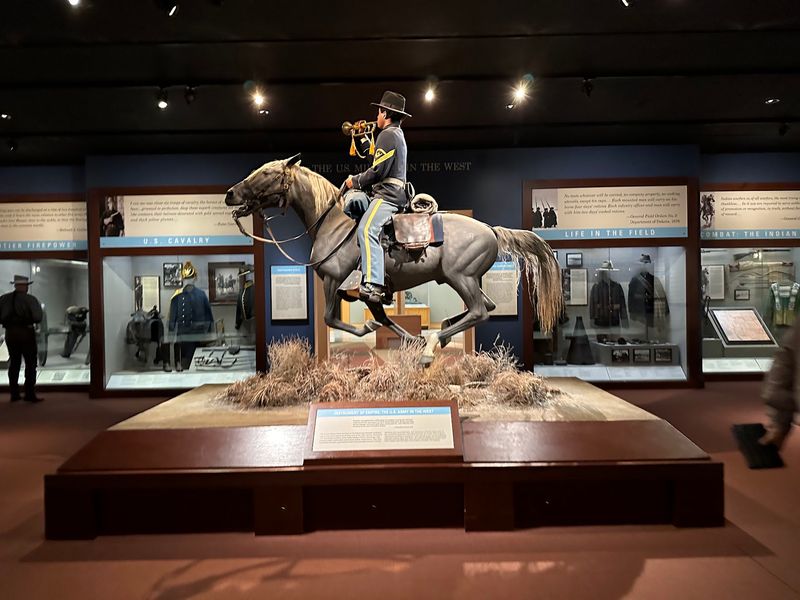 The Horse and Tack Collection The Horse and Tack Collection