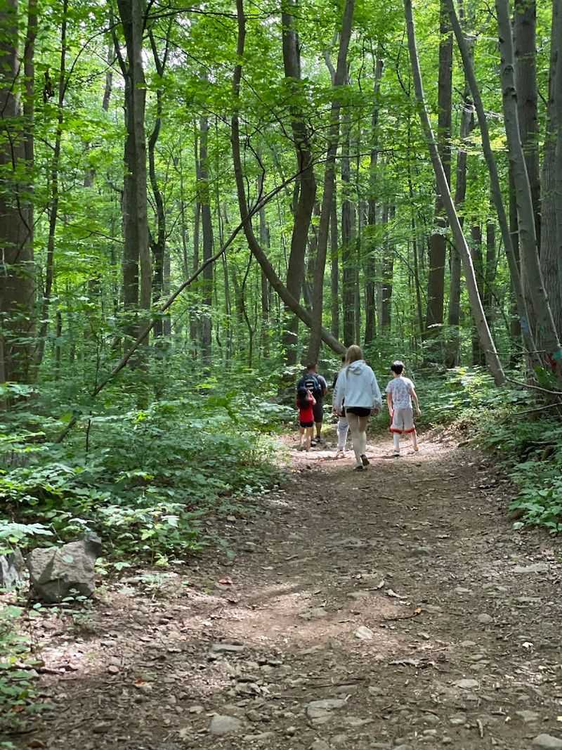 The Horseshoe Trail and Deeper Woodland Routes The Horseshoe Trail and Deeper Woodland Routes