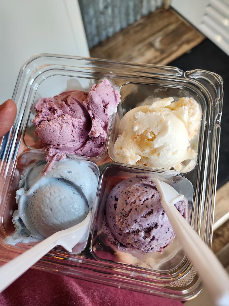 The Ice Cream Flight Worth Ordering The Ice Cream Flight Worth Ordering