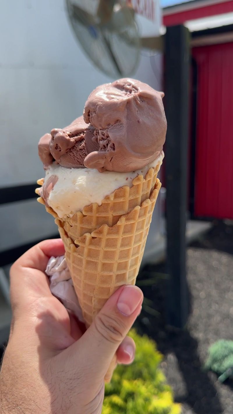 The Ice Cream That Steals the Show The Ice Cream That Steals the Show