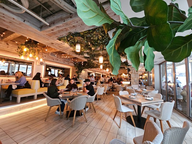 The Interior Decor and Atmosphere Inside The Interior Decor and Atmosphere Inside