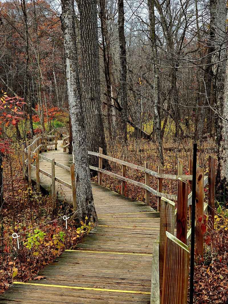 The Interpretive Trail and What It Teaches You The Interpretive Trail and What It Teaches You