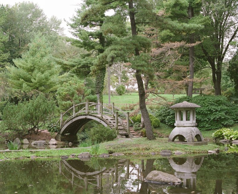The Japanese Garden: A Tranquil Corner of the Property