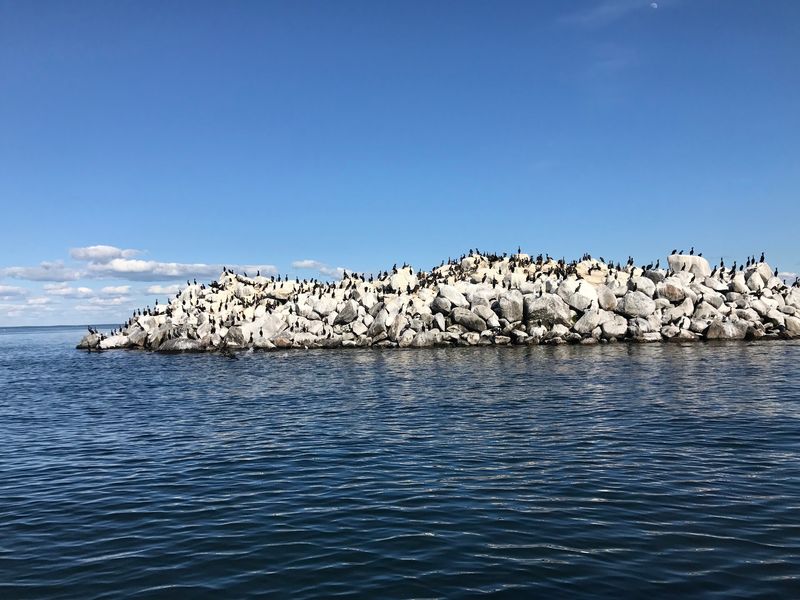 The Lake's Shallow Reefs and Deep-Water Structure The Lake's Shallow Reefs and Deep-Water Structure